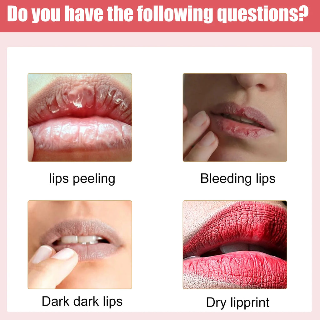 EELHOE Hydrating Lip Balm Moisturizing Nourishing Lip Care for Dry Chapped Lips Smoothing Lip Stick with Natural Oils Repair