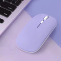 Bluetooth Wireless Mouse Replaceable Battery Mouse For Computer Laptop PC Macbook Air Gaming Mouse Gamer 2.4GHz 800/1200/1600DPI